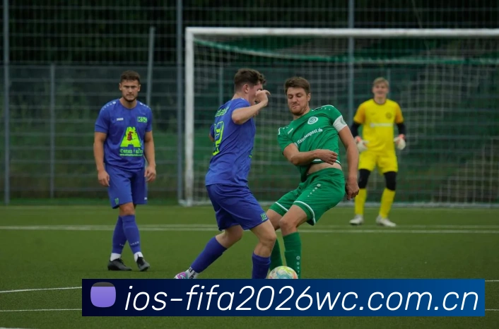 FIFA官方数据授权证书